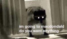 a black cat sitting on top of a window sill in front of curtains with the words i'm going to macroondadd do you want anything