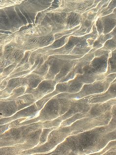 the water is very shallow and clear with little ripples on it's surface