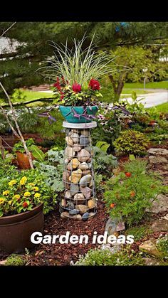 a garden filled with lots of plants and rocks