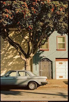 a car parked in front of a tree with oranges on it's branches