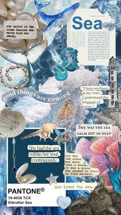 a collage of sea related items including shells, seashells and other things