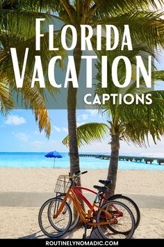 two bikes parked under a palm tree on the beach with text overlay that reads florida vacation captions