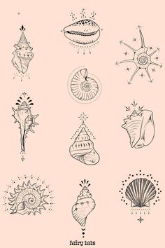 an assortment of sea shells and starfishs on a pink background with the words fairy cats