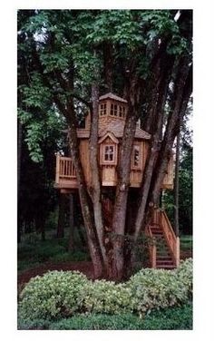 a tree house built into the side of a tree