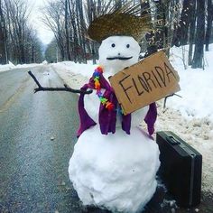 a snowman holding a sign that says florida