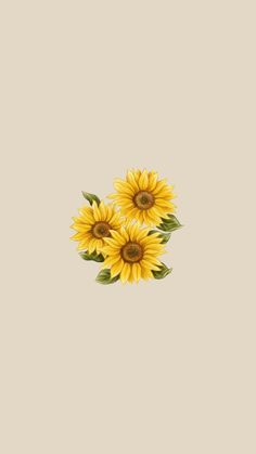 three yellow sunflowers with green leaves on a beige background