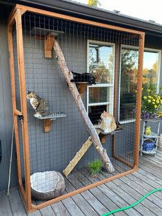 two cats sitting on top of a cat tree in front of a window and door