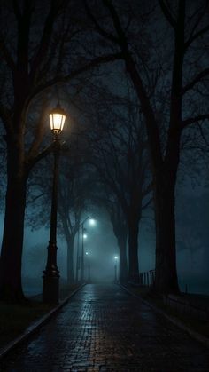 Street lamps glowing amidst a quiet night with mist. Dark Town Aesthetic, Dark Foggy Aesthetic, Foggy Night Aesthetic, Ruelle Sombre, Dark Nature Photography, Creepy Street, Foggy Wallpaper, Horror Landscape, Foggy Street