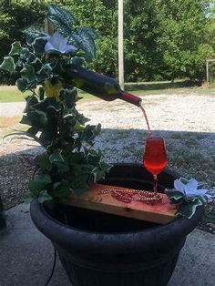 a wine glass being poured into a potted plant