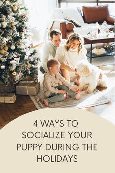 *Socialize Your Puppy This Christmas!* Help your pup grow into a confident, well-behaved adult with these 4 festive socialization tips. From exploring holiday decorations 🎁 to meeting new people and pets, learn how to introduce your puppy to the magic of the season safely and positively.✨ Build emotional resilience, boost confidence, and make holiday memories you'll cherish forever! 💖

#PuppySocialization #ChristmasWithPuppy #PuppyTraining #DogTrainingTips #HolidayDogCare #ConfidentPuppy