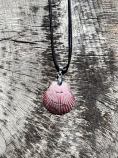 Scallop shell with silver colored hardware.  Picked from the beaches of SW Florida by me and made into a necklace pendant.  Choose from adjustable black rope 18'-20' or silver colored 18' chain. I walk my local beach almost every morning in SW Florida.  I collect all kinds of shells, rocks, fossils and teeth.  Since I can't stop collecting, I decided to start making jewelry and crafts out of my beloved beach treasures.  Everything in my shop was happily hand-picked and hand-crafted by me :)  5% of all my Etsy sales go to Mote Marine in Sarasota Florida, specifically to help fund Turtle Patrol, they mark and monitor all the sea turtle nests on the beaches in SW Florida - including my favorite beach!   You will receive the exact item pictured.  Please feel free to reach out to me for any que Shell With Adjustable Cord For Gift, Adjustable Cord Shell Necklace For Gifts, Shell-shaped Jewelry With Adjustable Cord As Gift, Adjustable Shell-shaped Jewelry Cord As A Gift, Necklace Shell, Coquille Saint Jacques, Beach Items, Beach Necklace, Cardboard Jewelry Boxes