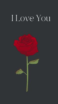 a red rose on a black background with the words i love you written in white