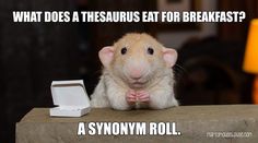 a rat sitting next to an open box with the caption does a thesaurus eat for bread?