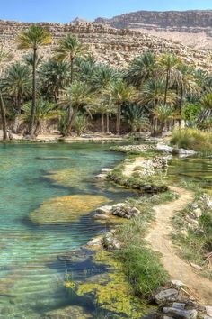 the water is crystal clear and blue in this desert area with palm trees on either side