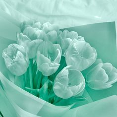 a bouquet of white tulips sitting on top of a green sheeted paper