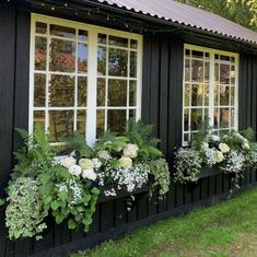 a black house with white flowers and greenery in the window boxes on the side