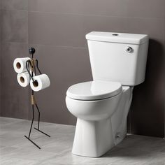 a white toilet sitting in a bathroom next to a roll of toilet paper on a rack