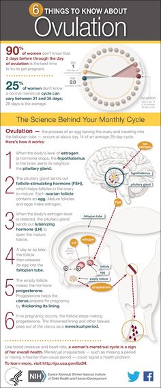 the science behind your monthy cycle info sheet with information about ovulations