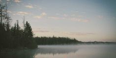 a body of water with trees in the background and fog on the ground around it