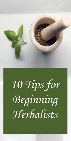 herbs and mortars with the title 10 tips for beginning herbists