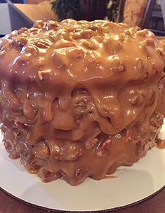 a large chocolate cake sitting on top of a white plate