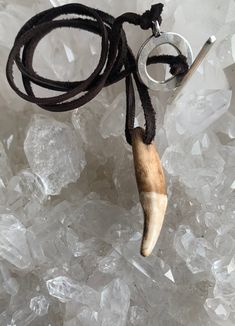 Wolf tooth Necklace on a dark brown deerskin leather cord with a silver toggle clasp.  This necklace is made with a wolf tooth that is approximately 1 and 1/2" long. Each piece of jewelry I make is made with specific intention and symbolism. Indigenous peoples recognize the wolf as a guide and teacher and this necklace was made to honor all our teachers. Deerskin leather is very soft and durable. The deerskin I use comes from a Native American leather supplier.  Every wolf tooth is unique and wi Animal Tooth Jewelry, Wolf Tooth Necklace, Tooth Jewelry, Wolf Tooth, Wolf Teeth, Animal Teeth, Wolf Necklace, Teeth Jewelry, Tooth Necklace