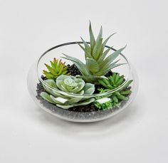 a glass bowl filled with succulents and rocks