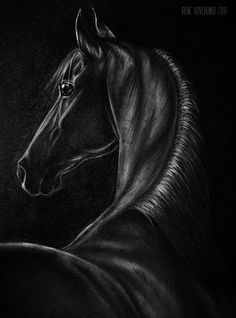 a black and white drawing of a horse's head on a dark background,