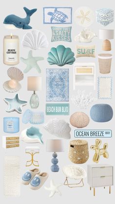 an assortment of beach themed items including shells, sea urinals and other things