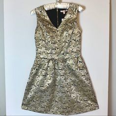 Beautiful Cocktail Dress! Gorgeous Metallic Threading And Flattering Cut!! Elegant A-line Mini Dress For Holiday Party, Chic A-line Dress For Holiday Party, Chic Dresses For Spring Holiday Party, Chic Spring Dresses For Holiday Party, Elegant Mini Dress For Spring Holiday Party, Elegant Dress For Spring Holiday Party, Elegant Dresses For Spring Holiday Party, Elegant Spring Dress For Holiday Party, Dressy Dresses For Spring Holiday Party