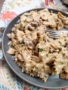 a plate full of pasta with meat and gravy on the side, ready to be eaten