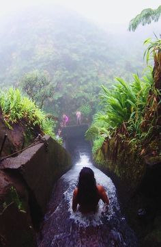 a woman is swimming in the water near some rocks and plants on a foggy day