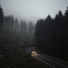 the car is driving down the road in the foggy forest with trees on both sides