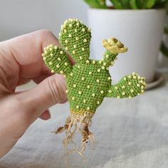 a hand holding a small green beaded cactus