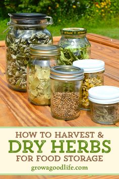 jars filled with herbs on top of a wooden table next to grass and trees in the background