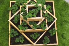 an aerial view of a garden with plants growing in the ground and on top of each other