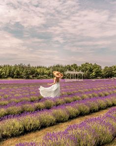 a woman in a white dress and straw hat walking through a lavender field