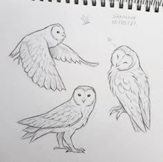 three owls sitting on top of each other with wings spread out and one owl standing next to the other