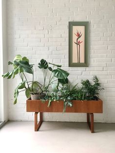 some plants are sitting on a table in front of a white brick wall and a fireplace