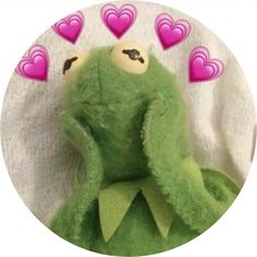 a green stuffed animal with pink hearts on it's ears and eyes, sitting in front of a white background