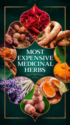 the most expensive medical herbs are displayed in this book cover art printable to look like they have been used for medicine