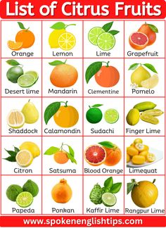 the list of citrus fruits is shown in red and white with oranges, lemons,