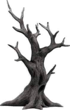 an old tree with no leaves is shown in this black and white photo on a white background