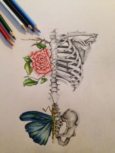 a drawing of a skeleton holding a flower with two pencils on the table next to it