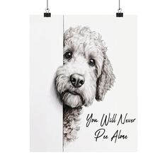 Poster Funny Goldendoodle Dog You Will Never Pee Alone, Pet Dog Lover Owner Home Bathroom Toilet Decor Ideas Print Wall Art Hanging Gift. Premium matte vertical + square poster- Made with museum-grade paper (175gsm fine art paper), this poster translate any artwork into exquisite real life decor. Available in multiple sizes, each poster is printed with top-tier pigmented archival inks for a stunning end result.  .: Poster without a frame! .: Made with museum-grade archival paper (175gsm) for exc Toilet Decor Ideas, Funny Goldendoodle, Bathroom Toilet Decor, Toilet Decor, Square Poster, Poster Funny, Wall Art Hanging, Dog Canvas, Bathroom Toilet