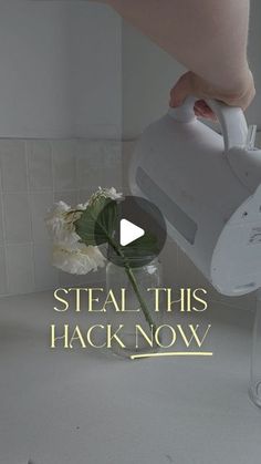 a person pouring water into a glass vase with flowers in it and the words steal this hack now