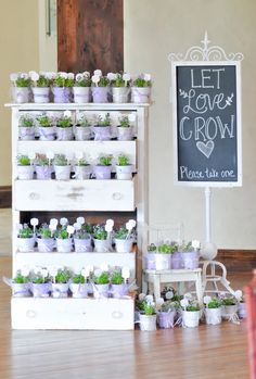 there are many potted plants on the shelves in front of a sign that says let's have grow