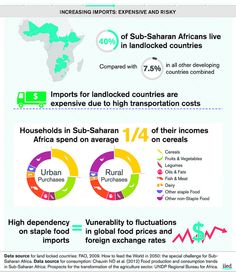 the cost of food in africa infographicly shows that there are more than one billion dollars