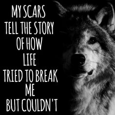 a wolf with the words, my scars tell the story of how life tried to break me but couldn't