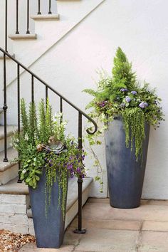 two tall planters with plants in them sitting on the steps